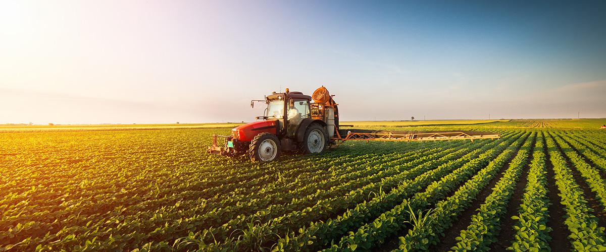 food and agriculture